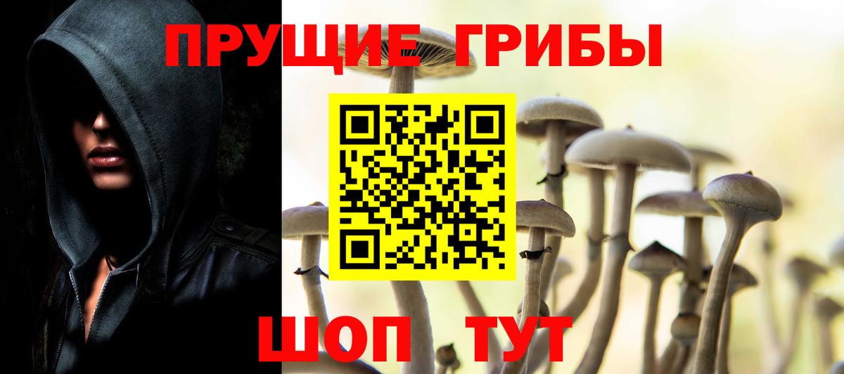 Псилоцибиновые грибы Cubensis  купить наркоту  Вход с VPN  Сибай  Галлюциногенные грибы Psilocybine cubensis 